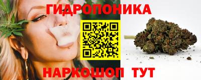 гашик Краснодар