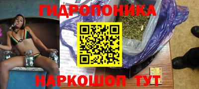 mdpv Краснознаменск