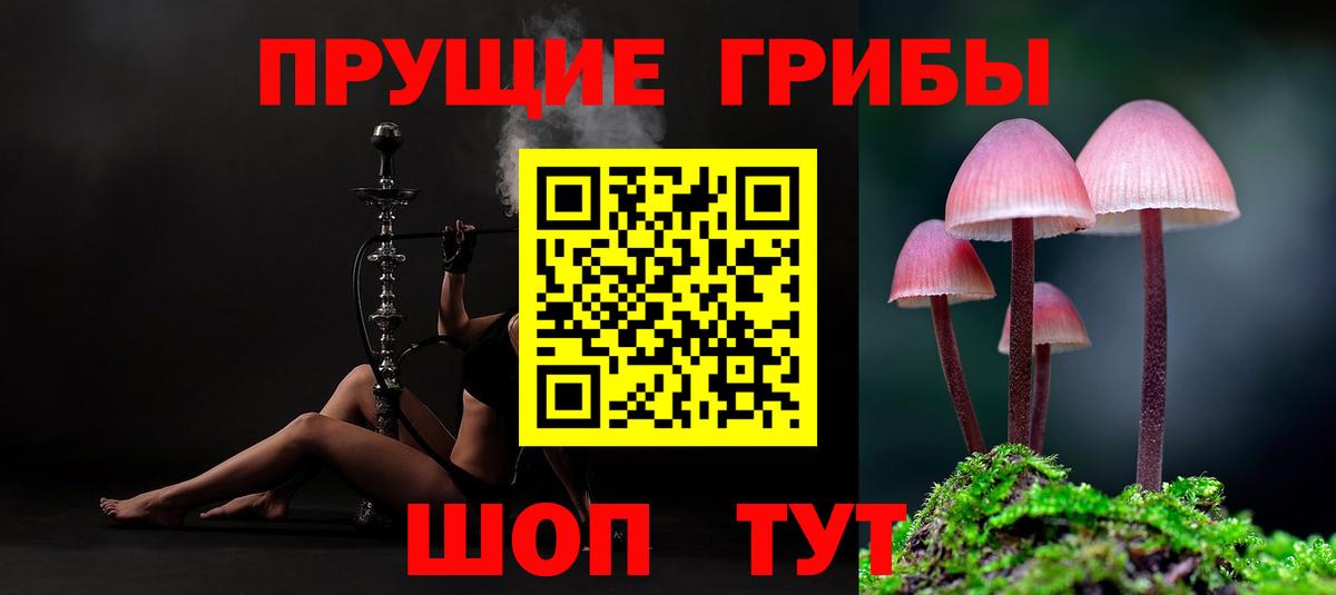 Галлюциногенные грибы MAGIC MUSHROOMS Ишим